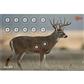 EzAim Four Color Whitetail Paper Target 16.5x24 2 pk.