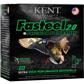 Kent Fasteel 2.0 Precision Plated Steel Load 12 ga. 3 in. 1 1/8 oz. BB Shot 25 rd.