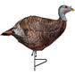 Primos Photoform Turkey Decoy Leading Hen