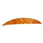 Gateway Magnum Feathers Tre White/Orange 5.5 in. RW 50 pk.