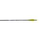 Allen Razor Youth Arrow 28 in. 3 pk.