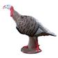 Rinehart Tom Turkey Target