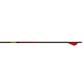 Gold Tip Velocity Arrows 300 Raptor Vanes 6 pk.