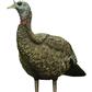 Avian X Lookout Turkey Decoy