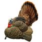 Avian X Strutter Turkey Decoy