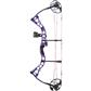 Diamond Prism Bow Package Purple 18-30 in. 5-55 lbs. RH