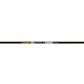 Gold Tip Kinetic Pierce Platinum Shafts 250 1 doz.